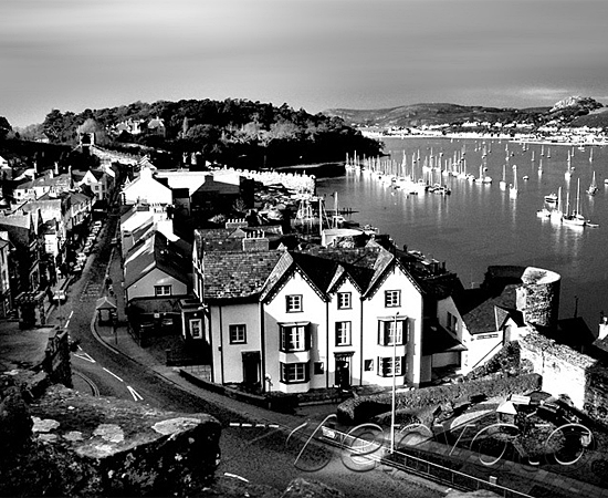 短信验证码轰炸平台免费